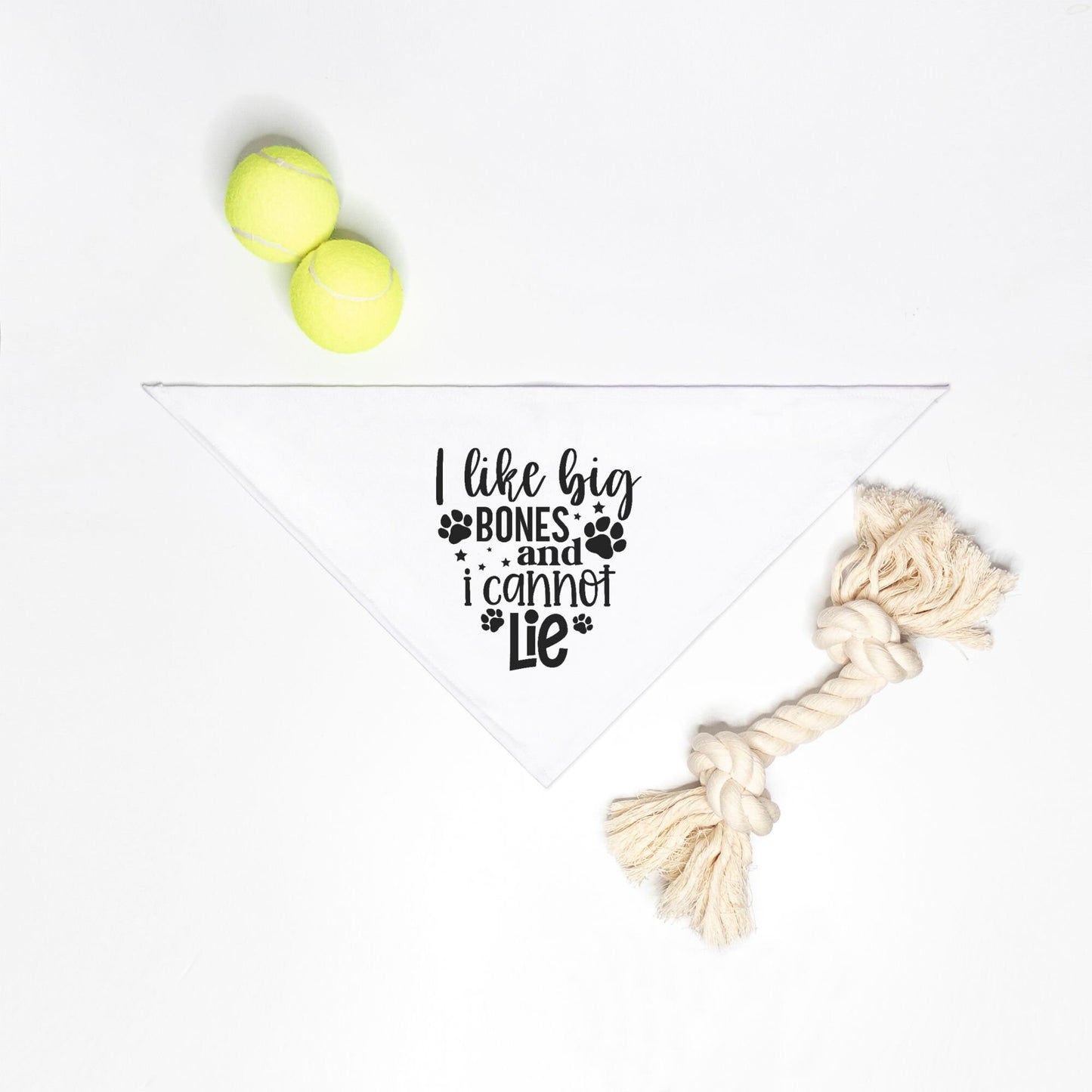 I like BIg bones and I can not Lie Small Breed Pet Bandana