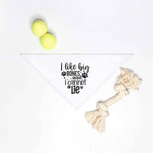 I like BIg bones and I can not Lie Small Breed Pet Bandana