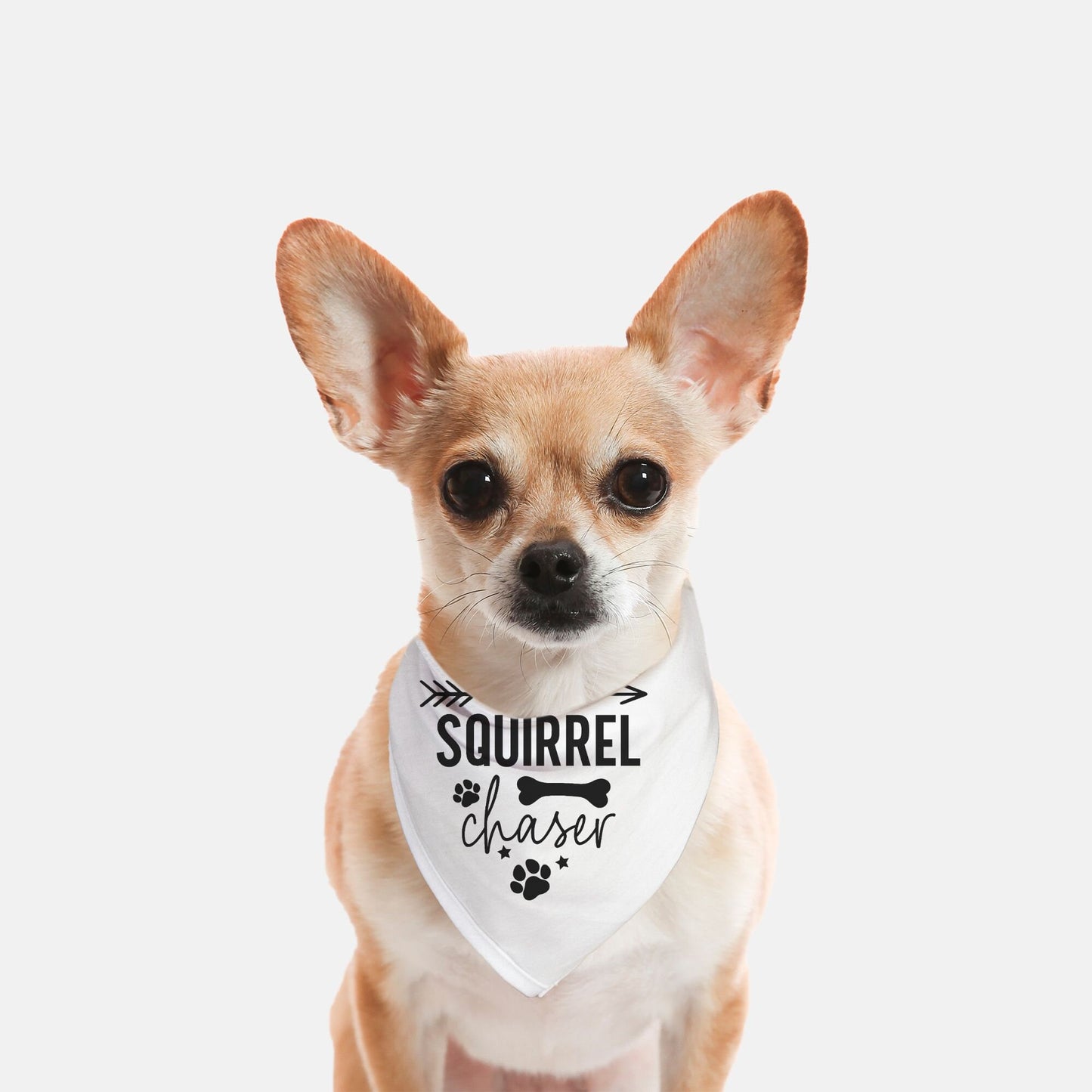Squirrel Chaser  Small Breed Pet Bandana