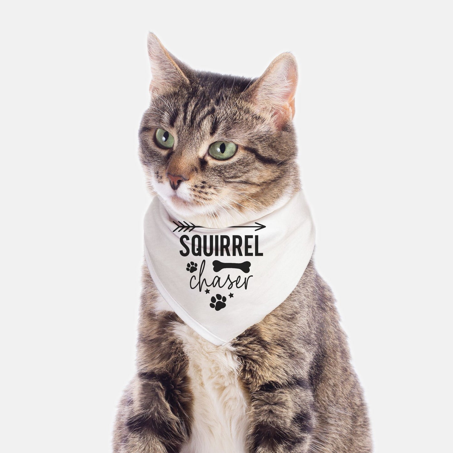 Squirrel Chaser  Small Breed Pet Bandana