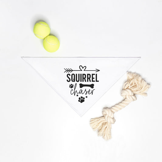 Squirrel Chaser  Small Breed Pet Bandana